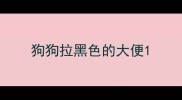 狗狗拉黑色的大便
