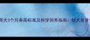 贵宾犬3个月身高标准及科学饲养指南幼犬发育全