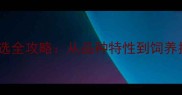 边境牧羊犬幼犬挑选全攻略从品种特性到饲养指南的保姆级教程