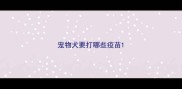 宠物犬要打哪些疫苗