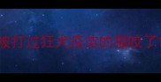 被打过狂犬疫苗的猫咬了