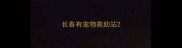 长春有宠物救助站