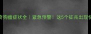 哈士奇狗瘟症状全紧急预警这5个征兆出现快送医