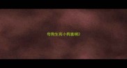 母狗生完小狗直喘