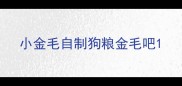 小金毛自制狗粮金毛吧