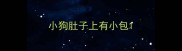 小狗肚子上有小包
