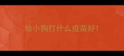 给小狗打什么疫苗好