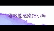 猫咪能感染细小吗