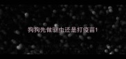 狗狗先做驱虫还是打疫苗