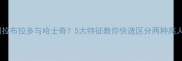 如何辨别拉布拉多与哈士奇5大特征教你快速区分两种高人气犬种