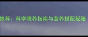 哈士奇辅食推荐科学喂养指南与营养搭配秘籍附食谱