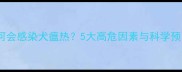 狗狗为何会感染犬瘟热5大高危因素与科学预防指南