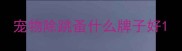 宠物除跳蚤什么牌子好