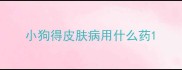 小狗得皮肤病用什么药