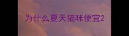 为什么夏天猫咪便宜