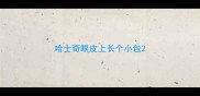 哈士奇眼皮上长个小包