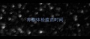 养猫体检疫苗时间