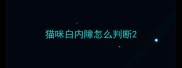 猫咪白内障怎么判断