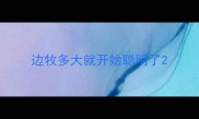 边牧多大就开始聪明了