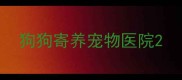 狗狗寄养宠物医院