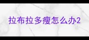 拉布拉多瘦怎么办