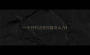一个月的边牧拉稀怎么办