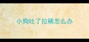 小狗吐了拉稀怎么办
