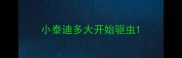 小泰迪多大开始驱虫