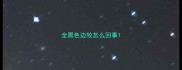 全黑色边牧怎么回事