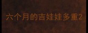 六个月的吉娃娃多重