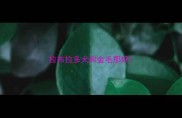 拉布拉多犬和金毛那好