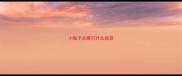 小兔子主要打什么疫苗