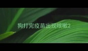 狗打完疫苗出现咳嗽