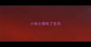 小哈士奇吃了生肉