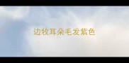 边牧耳朵毛发紫色