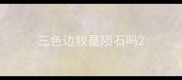 三色边牧是陨石吗
