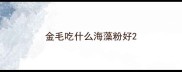 金毛吃什么海藻粉好