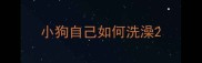 小狗自己如何洗澡