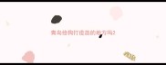 青岛给狗打疫苗的地方吗