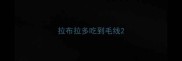拉布拉多吃到毛线