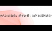 哈士奇三把火训练指南新手必看如何驯服拆迁队长成乖宝