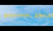幼犬疫苗接种全攻略最佳打针时间流程与注意事项附成长表