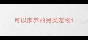 可以家养的另类宠物