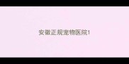 安徽正规宠物医院