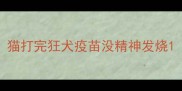 猫打完狂犬疫苗没精神发烧
