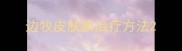 边牧皮肤病治疗方法