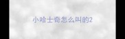 小哈士奇怎么叫的
