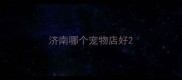 济南哪个宠物店好