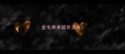 金毛串串能长多大