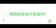 狗狗没驱虫打疫苗吗